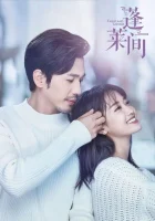  Любовники из волшебной страны смотреть онлайн сериал 1 сезон 